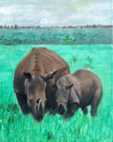 Wildlife in gated park